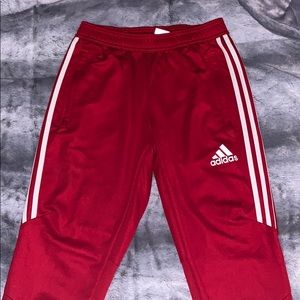 Red Adidas Trio 19 Pants